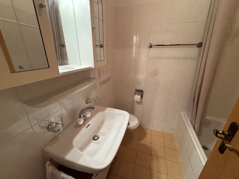Duplex in locazione con 2 camere e studio – Cadro (6)