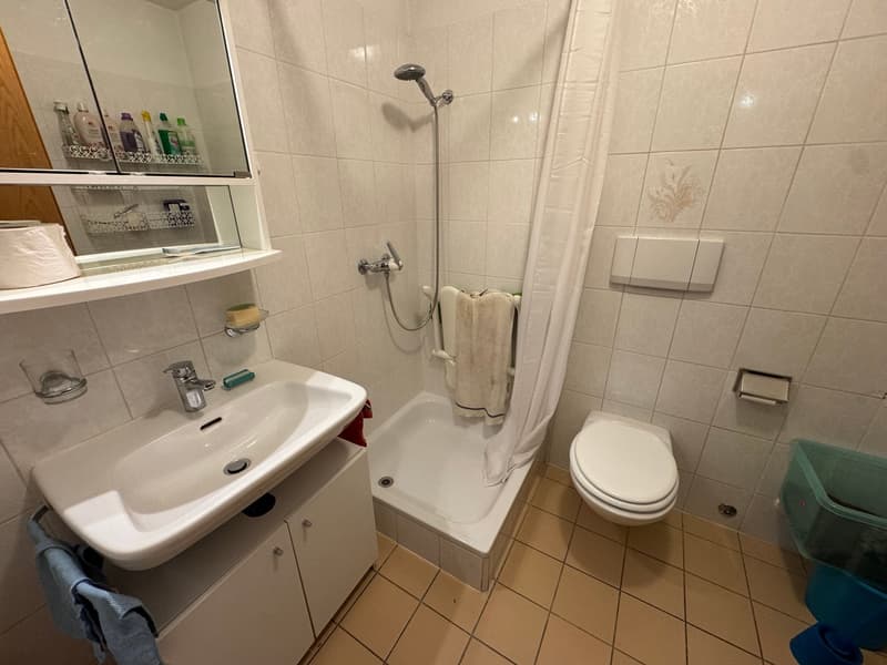 Duplex in locazione con 2 camere e studio – Cadro (12)