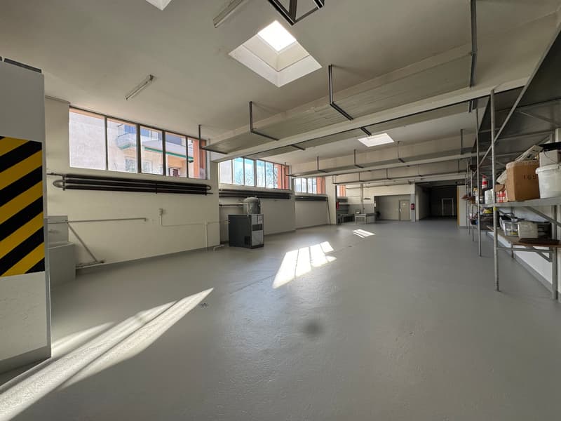 Vendesi o Affittasi Immobile Artigianale / commerciale / amministrativo con Uffici a Balerna (33)