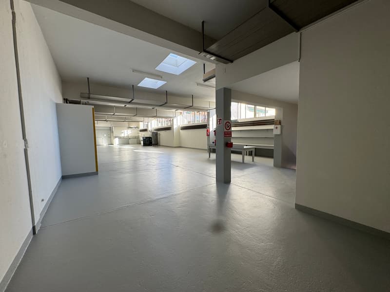 Vendesi o Affittasi Immobile Artigianale / commerciale / amministrativo con Uffici a Balerna (32)