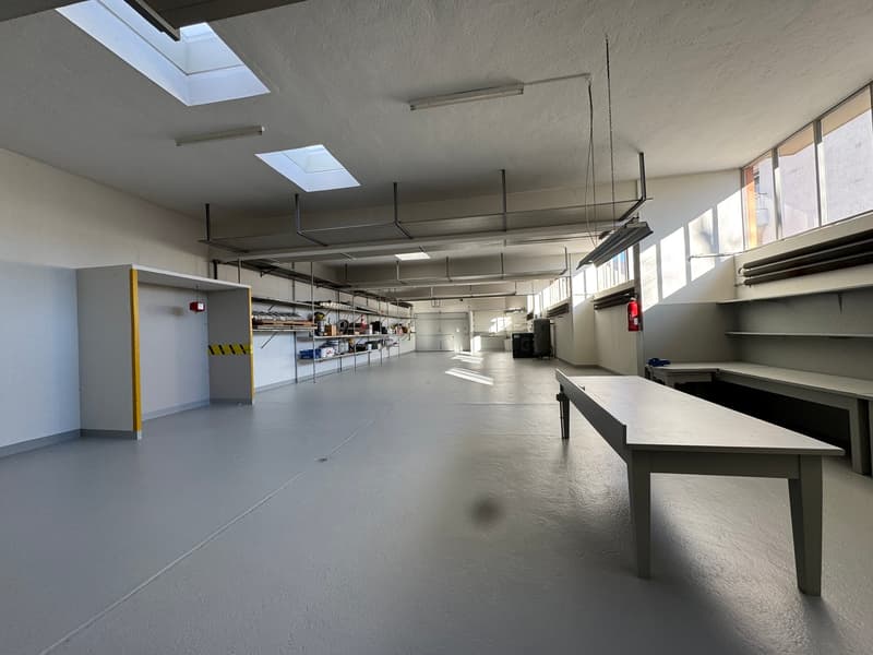 Vendesi o Affittasi Immobile Artigianale / commerciale / amministrativo con Uffici a Balerna (31)