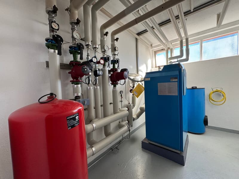 Vendesi o Affittasi Immobile Artigianale / commerciale / amministrativo con Uffici a Balerna (30)