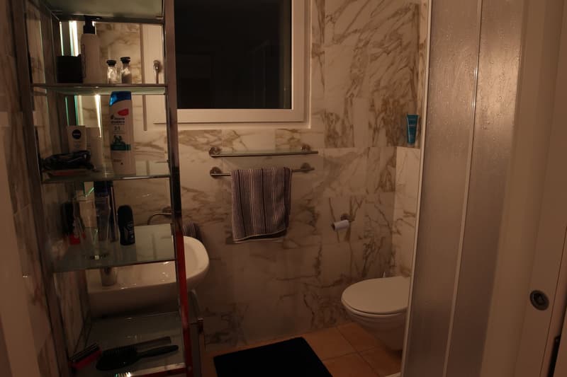 Caslano – Moderna villa con piscina, giardino e monolocale indipendente (49)
