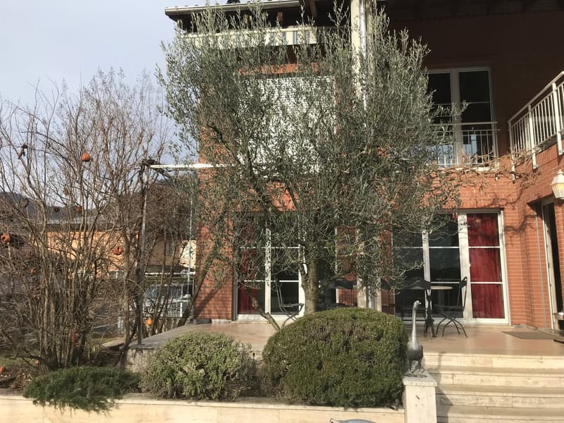 Caslano – Moderna villa con piscina, giardino e monolocale indipendente (4)