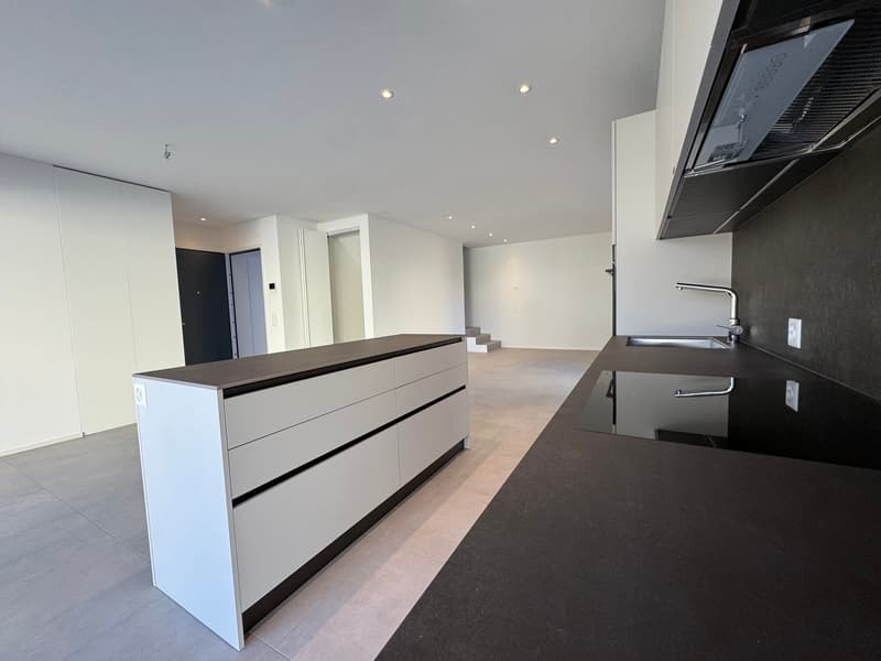 SUBITO ABITABILE - ULTIMA DISPONIBILITÀ - MODERNO DUPLEX CON GIARDINO PRIVATO (1)