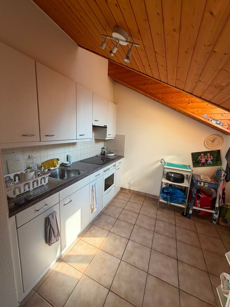 Bellinzona – Centralissimo 2.5 locali con ascensore e soffitti in legno a vista (1)