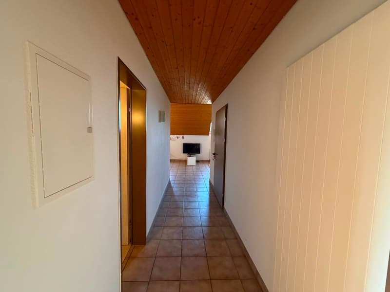 Bellinzona – Centralissimo 2.5 locali con ascensore e soffitti in legno a vista (7)