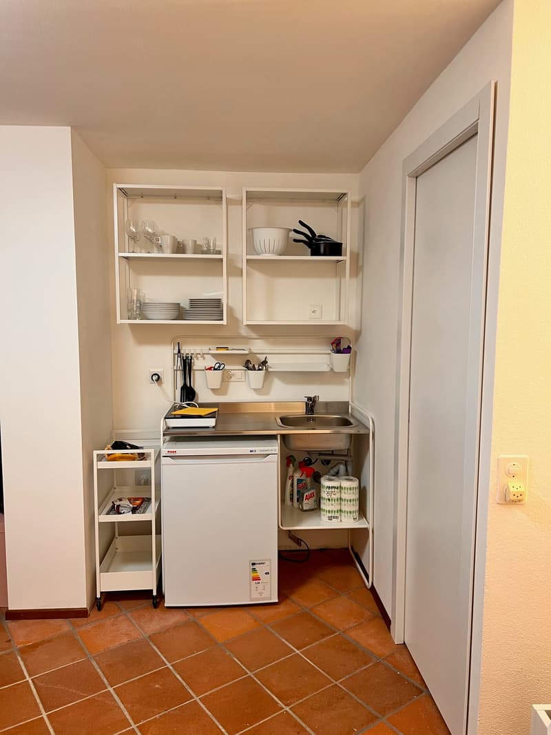 Rovio - monolocale in ottimo stato (6)