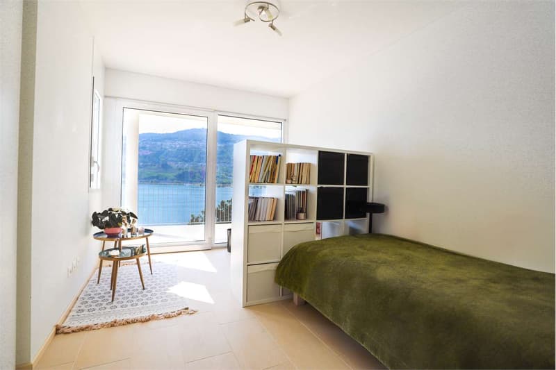 Splendida Villa a Montagnola (13)