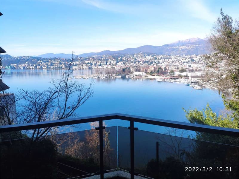 APPARTAMENTO VISTA LAGO LUGANO - SECONDA RESIDENZA (2)