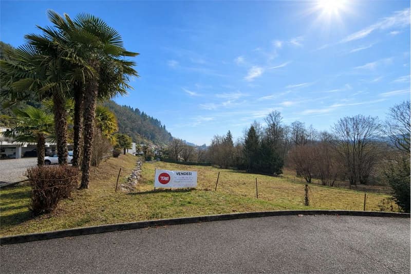 Terreno edificabile - ASTANO (9)