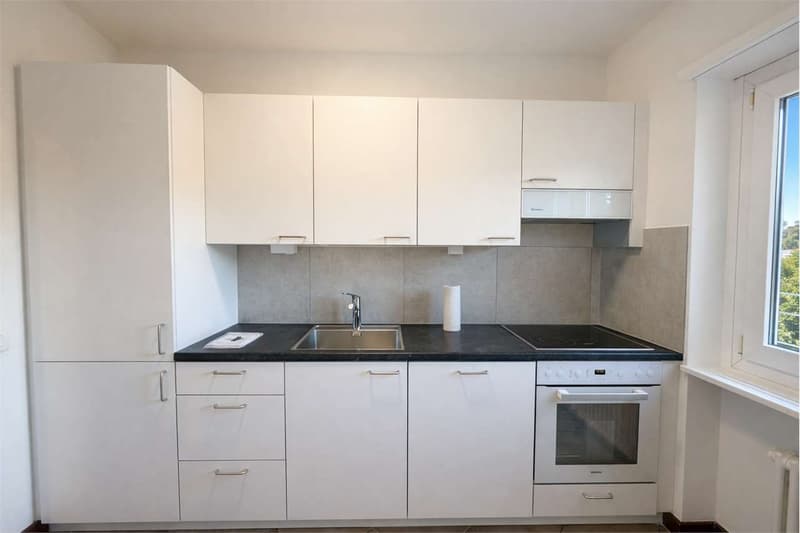 Appartamento 4 locali a Viganello (7)