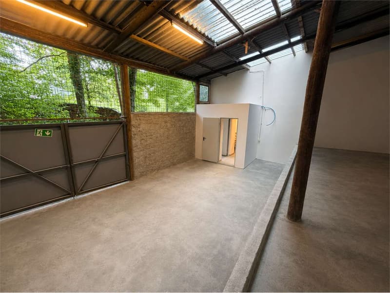 Locale multifunzionale in affitto - Carona (5)
