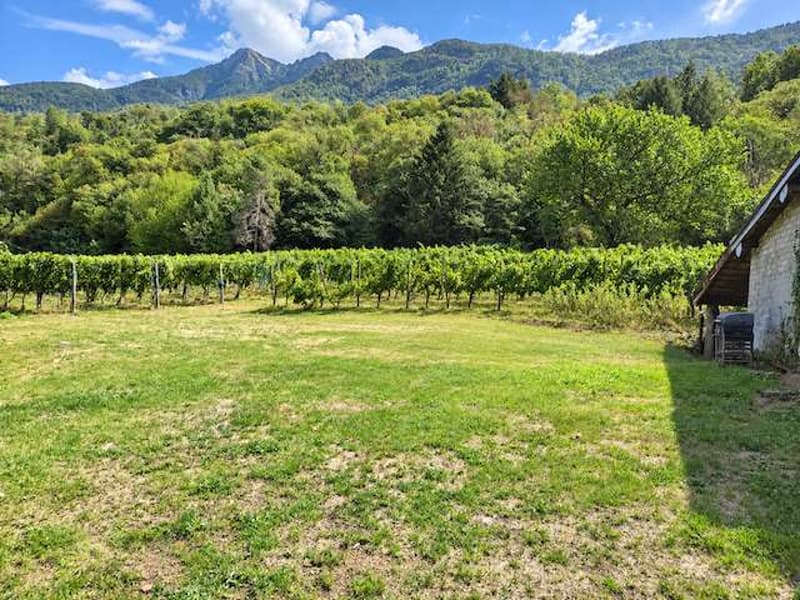 Casa di nucleo con grande giardino (3)