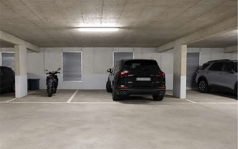 Attico 5,5 locali a Lugano (9)