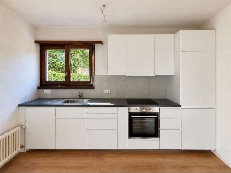 4.5 locali a Breganzona (11)