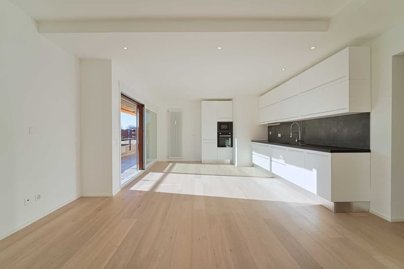 MODERNO 4 LOCALI A LUGANO (4)