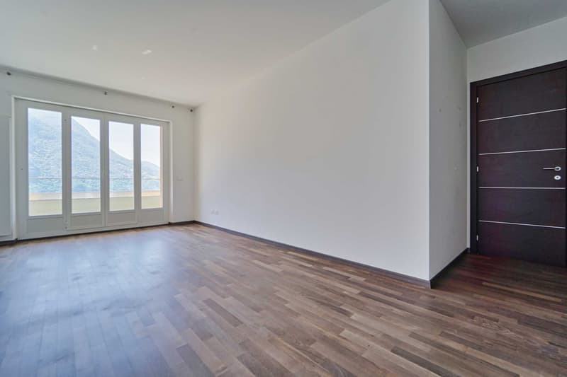 ACCOGLIENTE APPARTAMENTO A CASTAGNOLA CON SPLENDIDA VISTA LAGO (6)