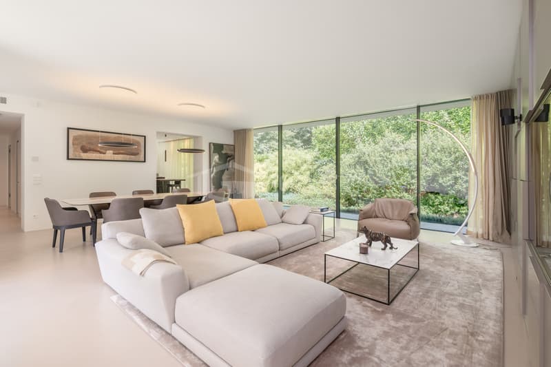 ELEGANTE VILLA MODERNA IMMERSA NEL VERDE (8)