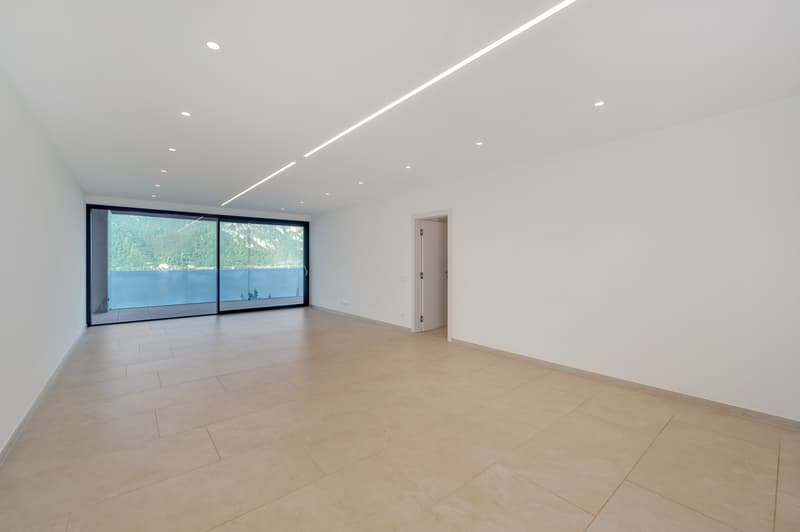 PIACEVOLE 3.5 LOC. CON VISTA LAGO A BISSONE (8)