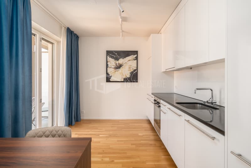 ELEGANTE 2.5 LOCALI NEL CUORE DI LUGANO (6)