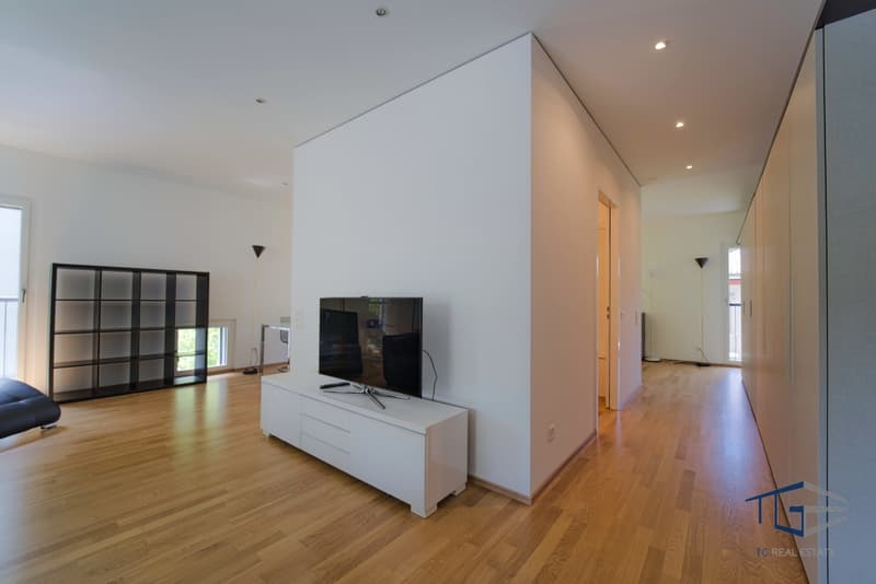 LOFT  CON TERRAZZA ARREDATO A LUGANO (2)