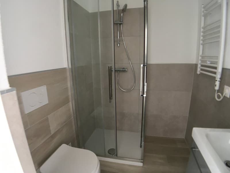 Nuovo 3.5 locali Breganzona (6)