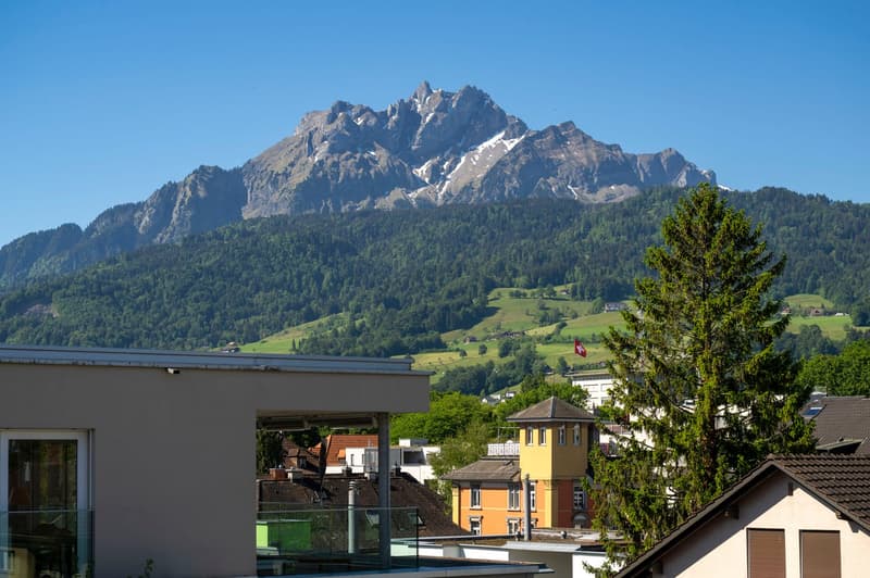 Erstbezug Charmante 2.5-Zimmer-Wohnung an ruhiger Lage mit schönem Innenhof und Pilatusblick (7)