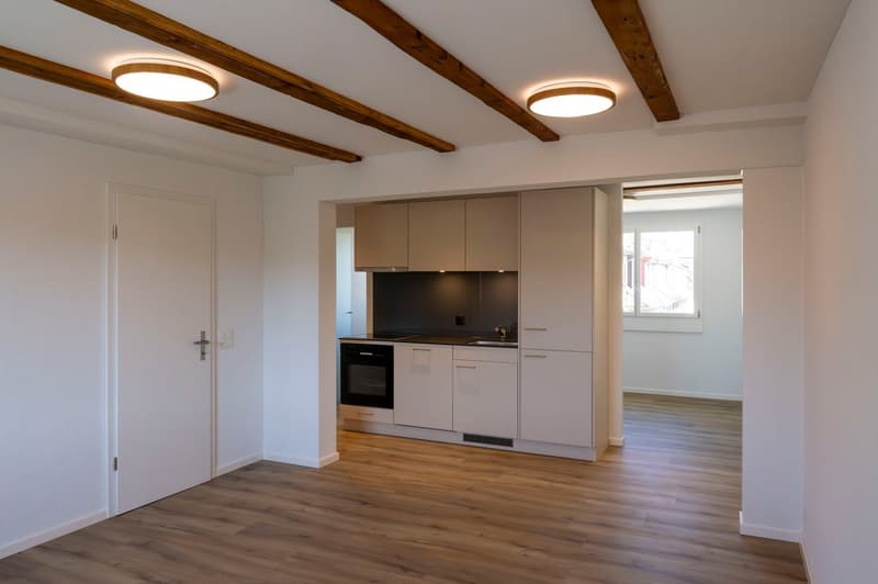 Erstbezug Charmante 2.5-Zimmer-Wohnung an ruhiger Lage mit schönem Innenhof und Pilatusblick (2)