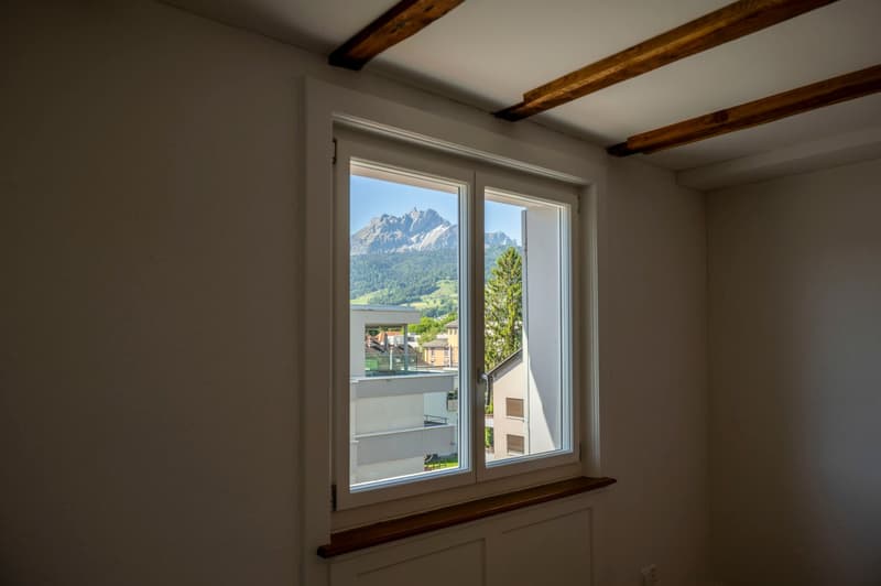 Erstbezug Charmante 2.5-Zimmer-Wohnung an ruhiger Lage mit schönem Innenhof und Pilatusblick (6)