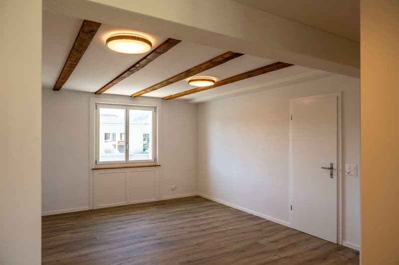 Erstbezug Charmante 2.5-Zimmer-Wohnung an ruhiger Lage mit schönem Innenhof und Pilatusblick (5)