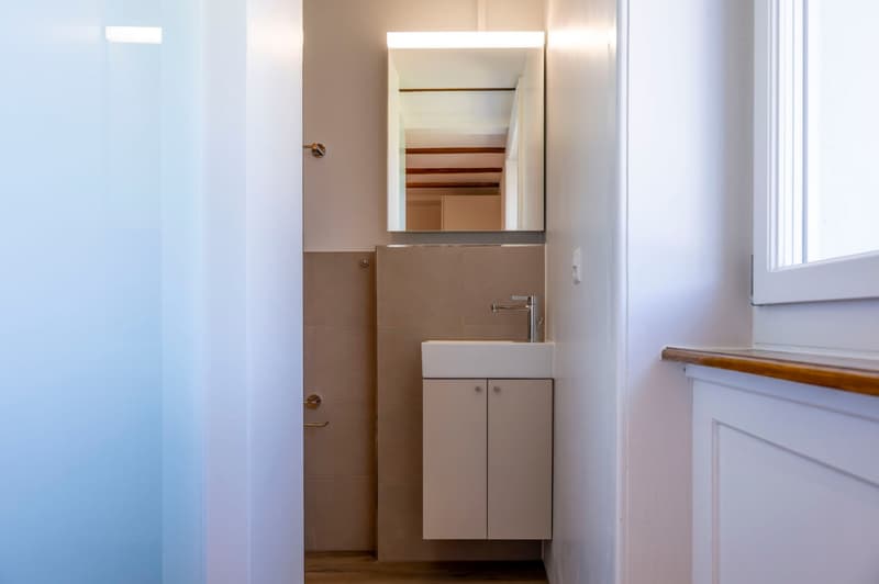 Erstbezug Charmante 1.5-Zimmer-Wohnung an ruhiger Lage mit schönem Innenhof und Pilatusblick (5)