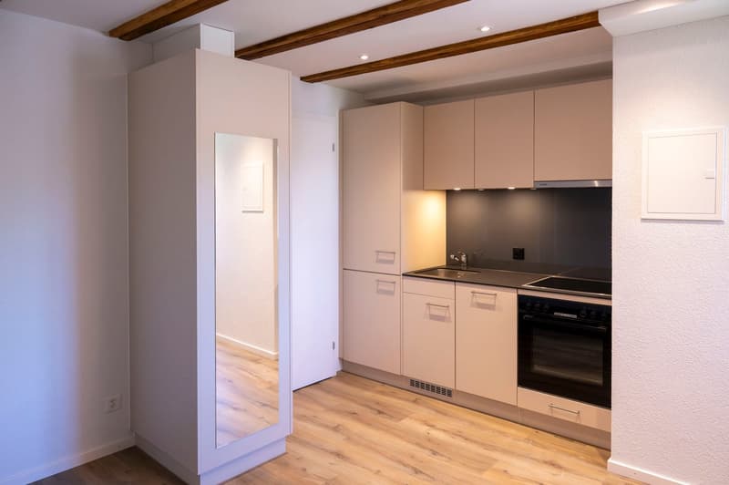 Erstbezug Charmante 1.5-Zimmer-Wohnung an ruhiger Lage mit schönem Innenhof und Pilatusblick (2)