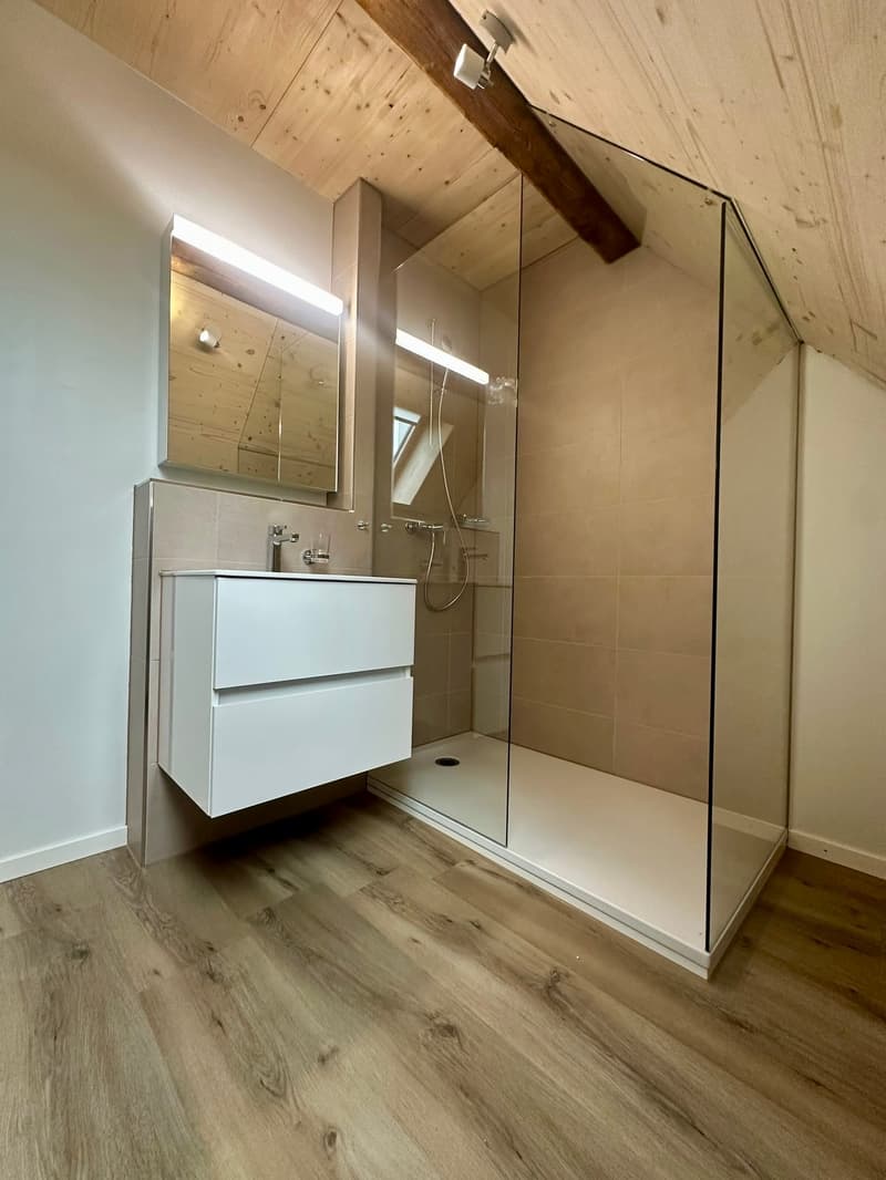 Erstbezug Charmante Loft-Dachwohnung mit grossem Balkon an ruhiger Lage mit schönem Innenhof (12)
