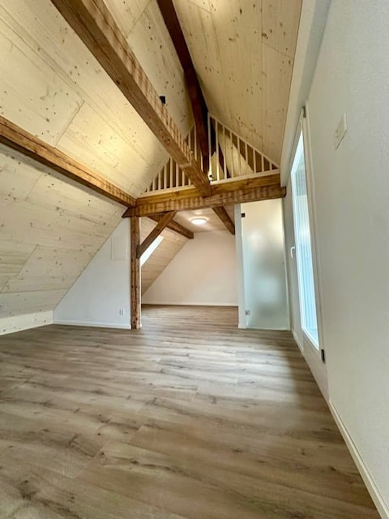 Erstbezug Charmante Loft-Dachwohnung mit grossem Balkon an ruhiger Lage mit schönem Innenhof (11)