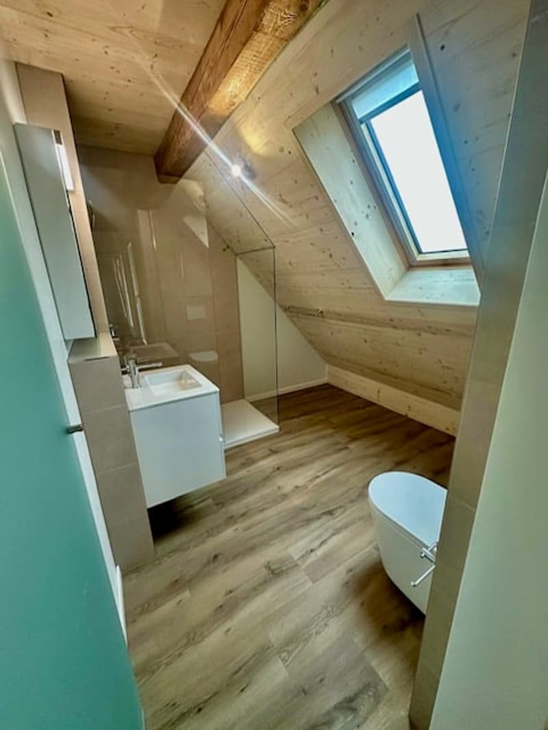 Erstbezug Charmante Loft-Dachwohnung mit grossem Balkon an ruhiger Lage mit schönem Innenhof (9)