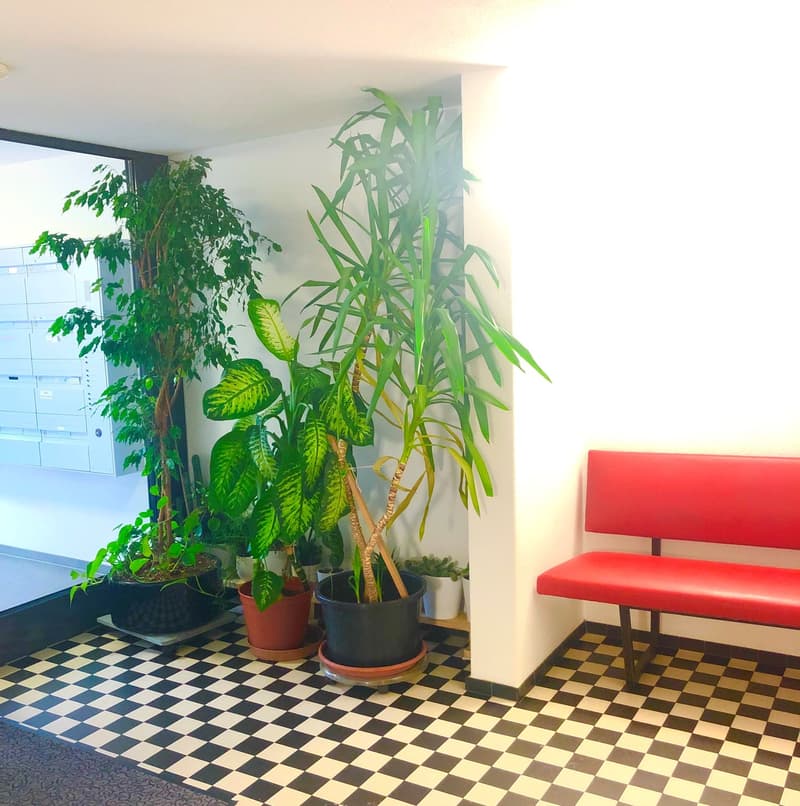 Ihre 4-Zimmerwohnung in Kriens. (5)