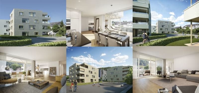 Traumwohnung im Neuhushof in 6014 Luzern-Littau (3)