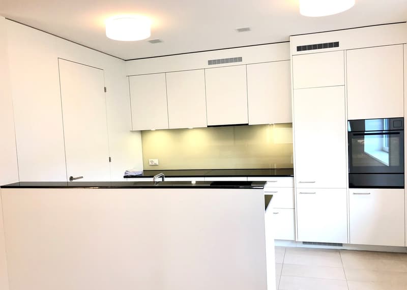 Traumwohnung im Neuhushof in 6014 Luzern-Littau (6)