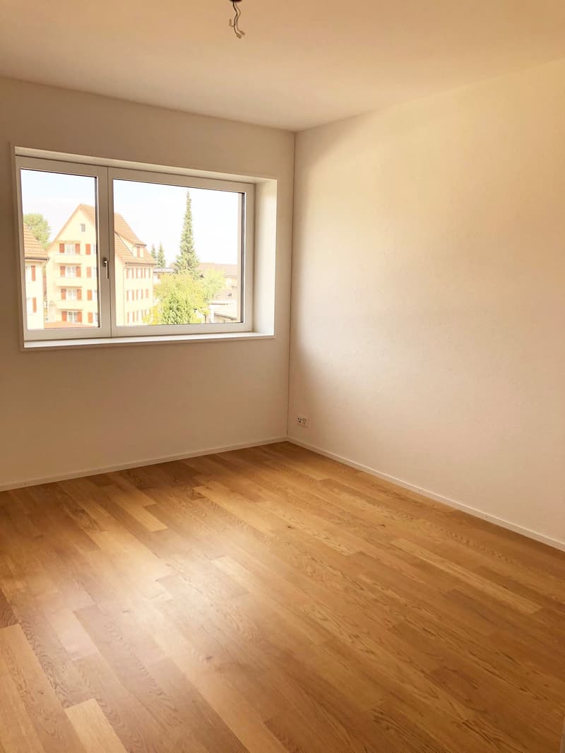 Traumwohnung im Neuhushof in 6014 Luzern-Littau (11)