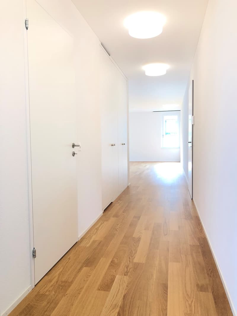 Traumwohnung im Neuhushof in 6014 Luzern-Littau (7)