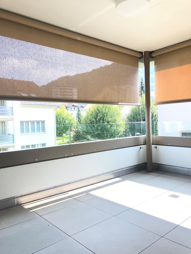 Traumwohnung im Neuhushof in 6014 Luzern-Littau (13)