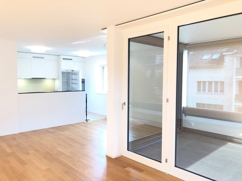 Traumwohnung im Neuhushof in 6014 Luzern-Littau (5)