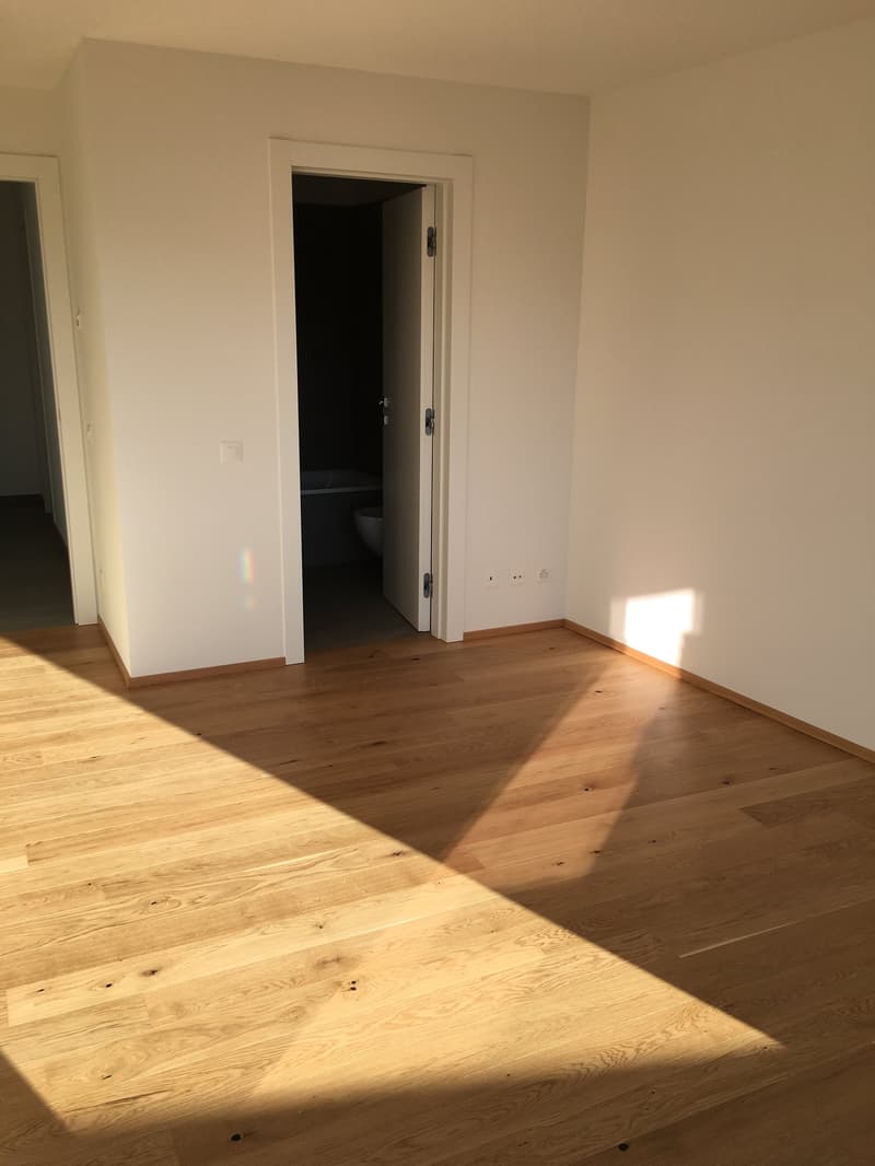 Lugano-Savosa, appartamento 3.5 locali - ultimo piano (8)