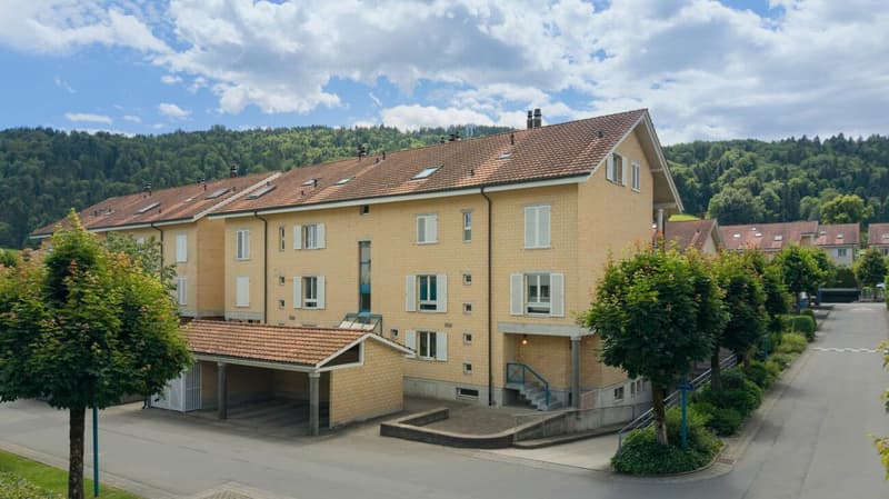 Die Überbauung Sonnefeld