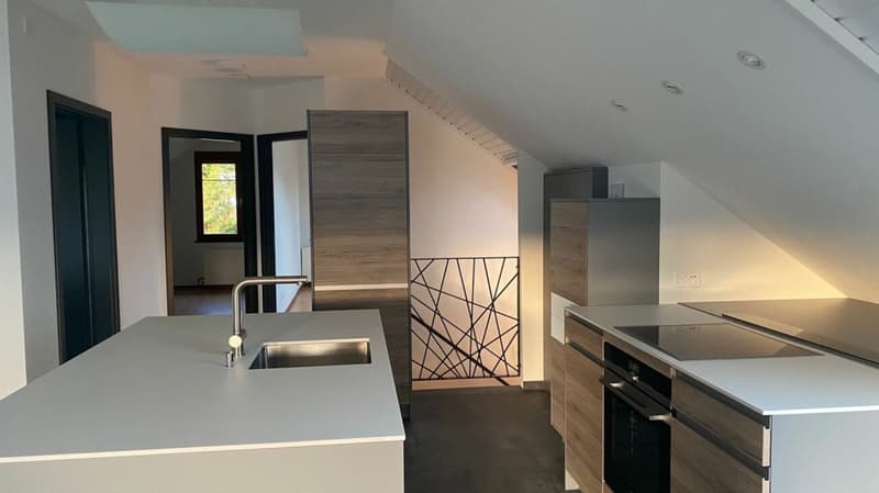 3 ½-Zimmer-DG-Wohnung mit Gartenteil (6)