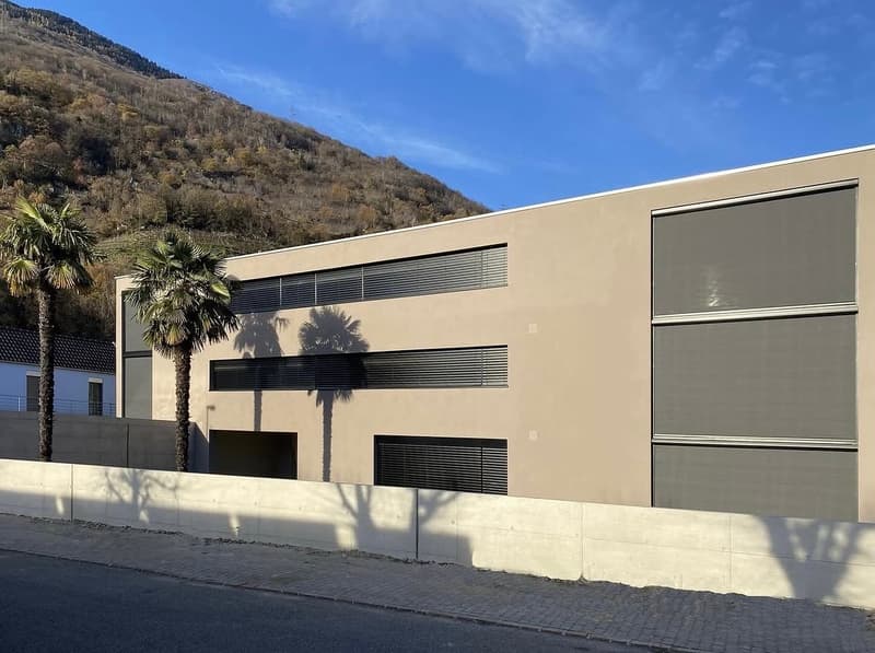 Monte Carasso – Elegante 3.5 locali in affitto (3)