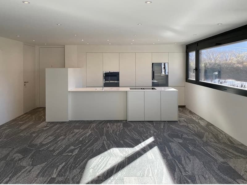 Monte Carasso – Elegante 3.5 locali in affitto (2)