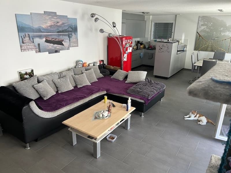 Schmucke 4.5-Zimmer Wohnung (5)
