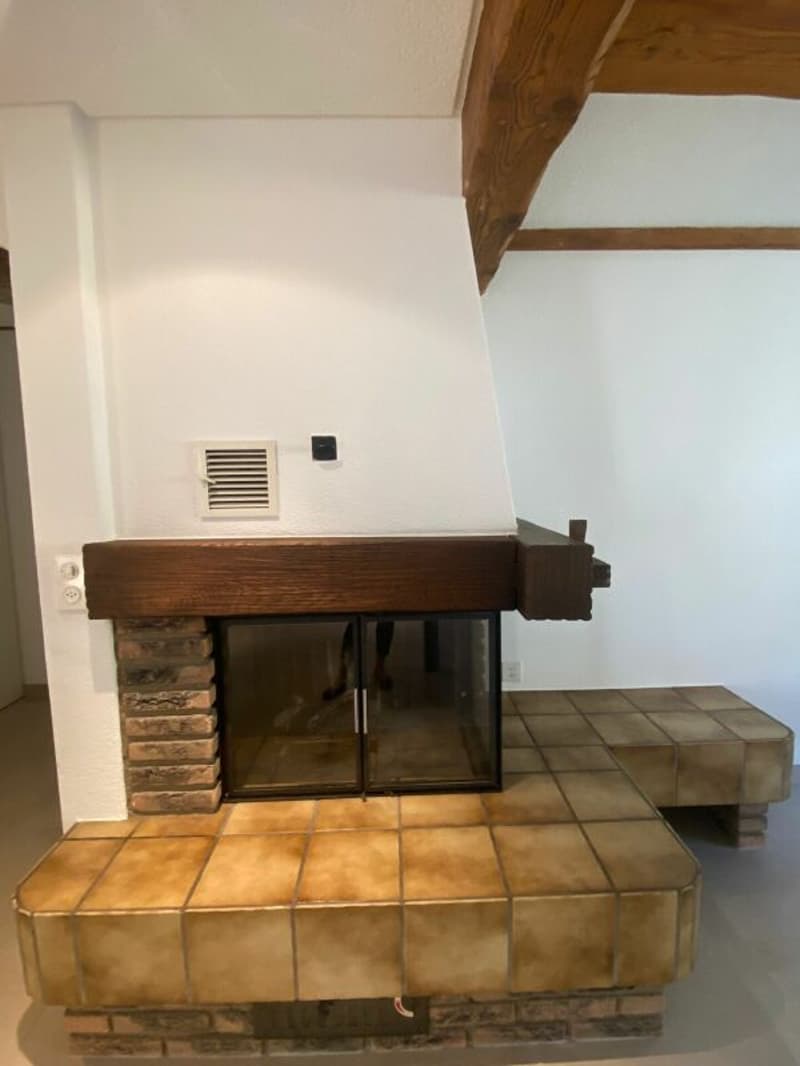 Wohnung mit Charme (2)